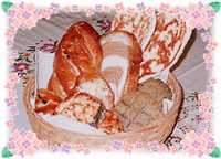 �H�p���̒f��